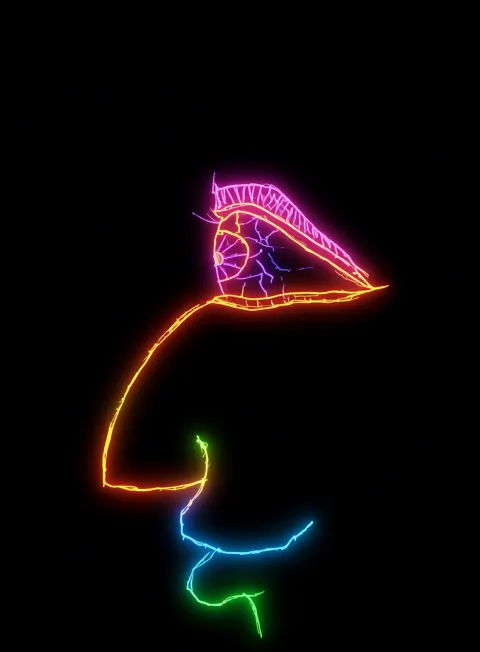 Perfil Hombre Neon Arcoiris Fondo Negro Gratis 1763482327 - Pasion Amor Deseo - Estados Positivos Alta Energia | Neon Emotion Gallery